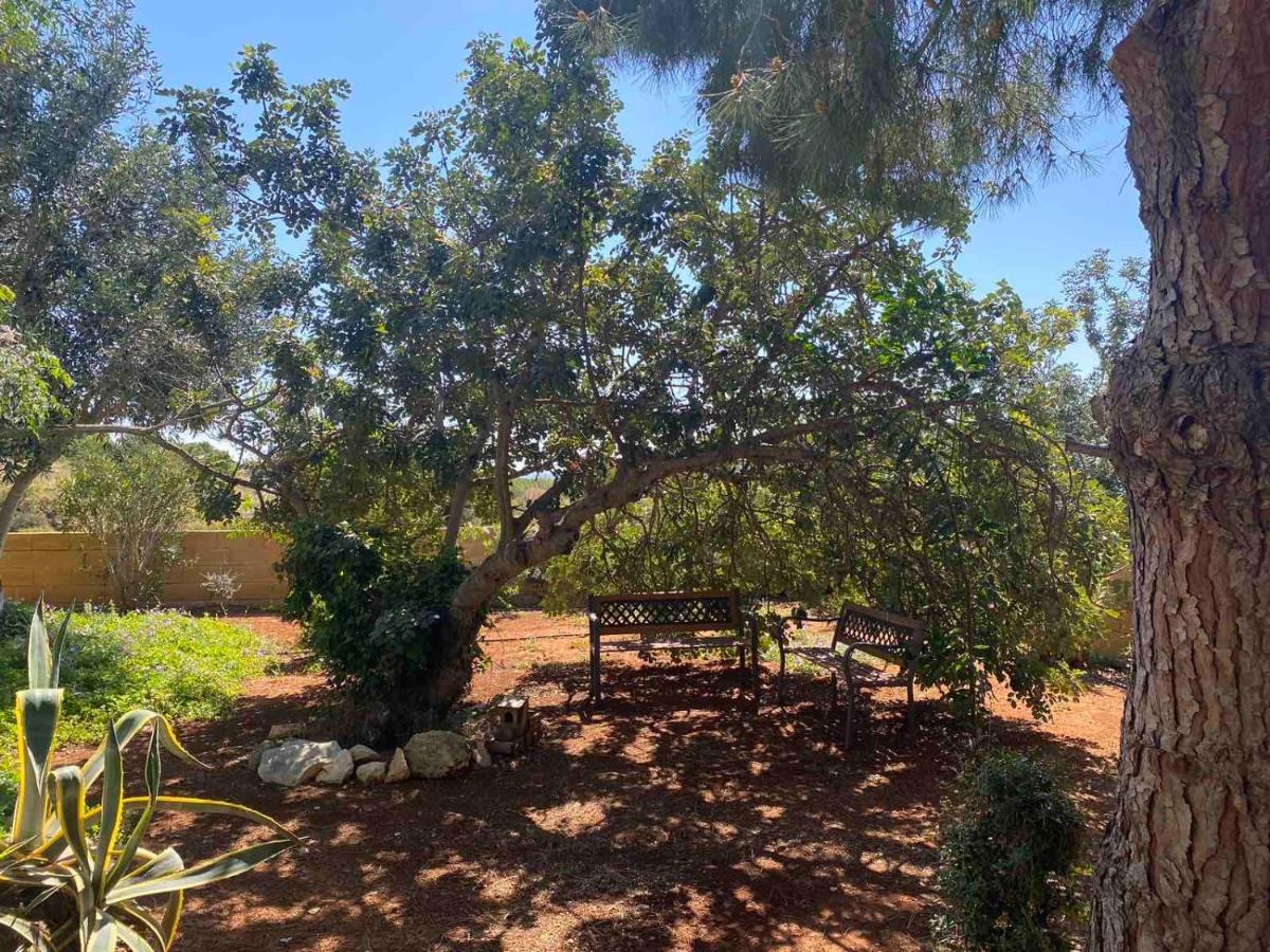 Konnos Villa Protaras Dış mekan fotoğraf
